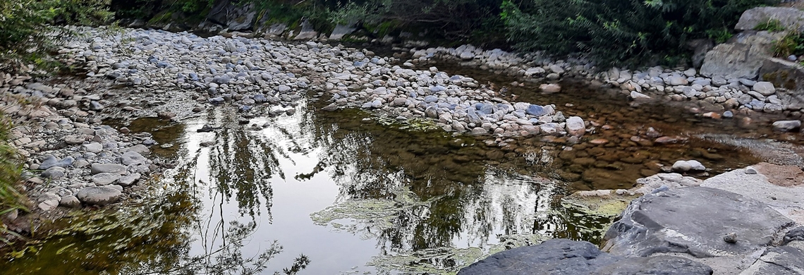 Niedrigwasser im Rickenbach bei Wattwil